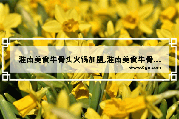 淮南美食牛骨头火锅加盟,淮南美食牛骨头火锅加盟