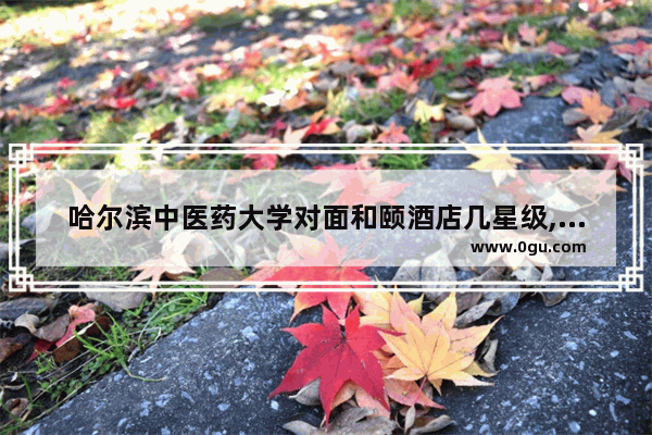 哈尔滨中医药大学对面和颐酒店几星级,和颐至尊酒店加盟费