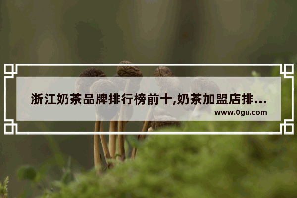 浙江奶茶品牌排行榜前十,奶茶加盟店排行榜上海