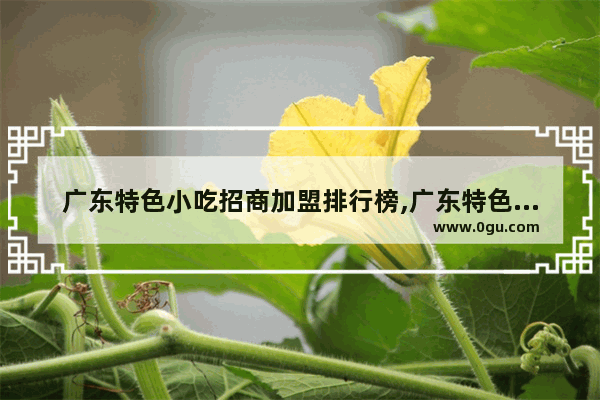 广东特色小吃招商加盟排行榜,广东特色小吃招商加盟排行榜