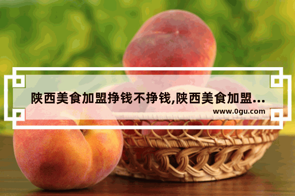 陕西美食加盟挣钱不挣钱,陕西美食加盟挣钱不挣钱