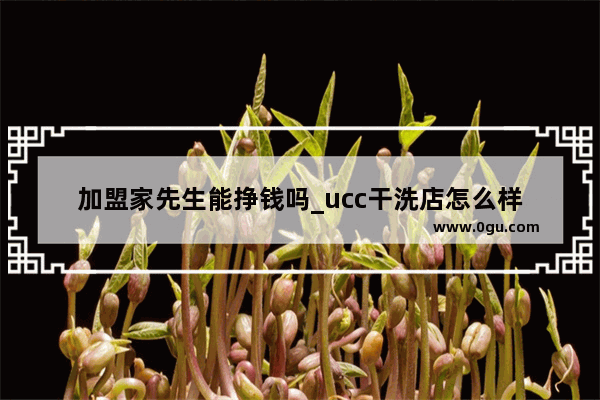 加盟家先生能挣钱吗_ucc干洗店怎么样