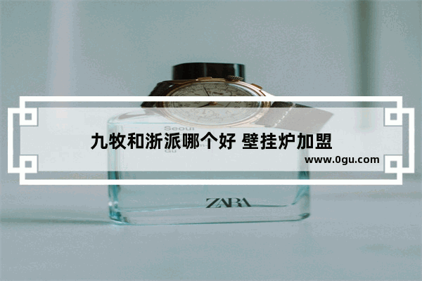 九牧和浙派哪个好 壁挂炉加盟