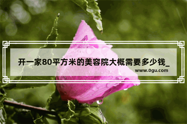 开一家80平方米的美容院大概需要多少钱_加盟医疗美容院需要什麼条件