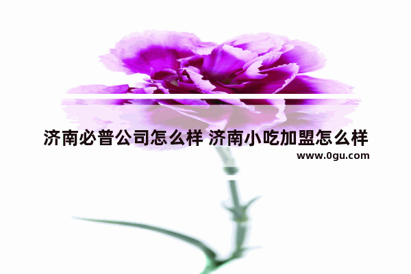 济南必普公司怎么样 济南小吃加盟怎么样
