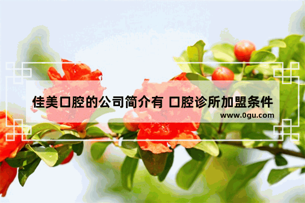 佳美口腔的公司简介有 口腔诊所加盟条件