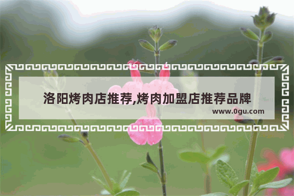 洛阳烤肉店推荐,烤肉加盟店推荐品牌
