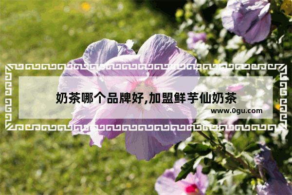 奶茶哪个品牌好,加盟鲜芋仙奶茶