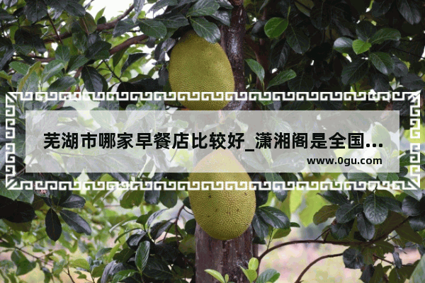 芜湖市哪家早餐店比较好_潇湘阁是全国连锁吗