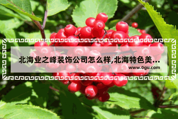 北海业之峰装饰公司怎么样,北海特色美食加盟