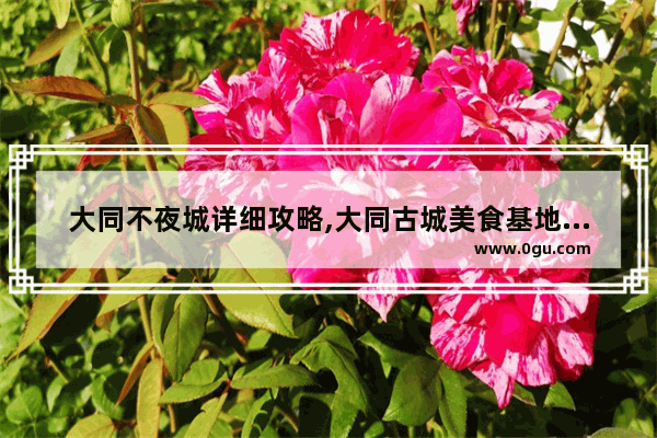 大同不夜城详细攻略,大同古城美食基地招商加盟