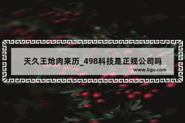 天久王炝肉来历_498科技是正规公司吗