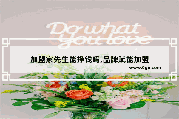 加盟家先生能挣钱吗,品牌赋能加盟
