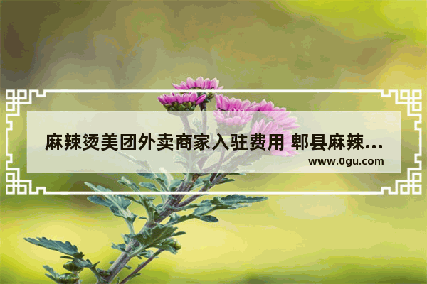 麻辣烫美团外卖商家入驻费用 郫县麻辣烫小吃加盟
