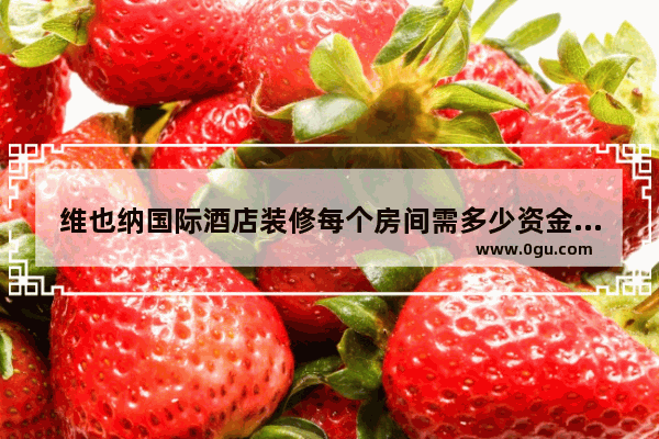 维也纳国际酒店装修每个房间需多少资金,维也纳酒店管理加盟费多少