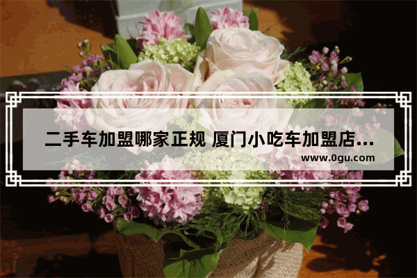 二手车加盟哪家正规 厦门小吃车加盟店推荐