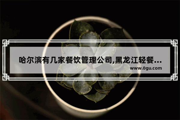 哈尔滨有几家餐饮管理公司,黑龙江轻餐饮加盟店排行榜