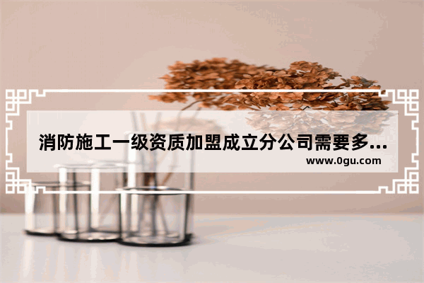 消防施工一级资质加盟成立分公司需要多少费用 杭州智能化酒店加盟费用