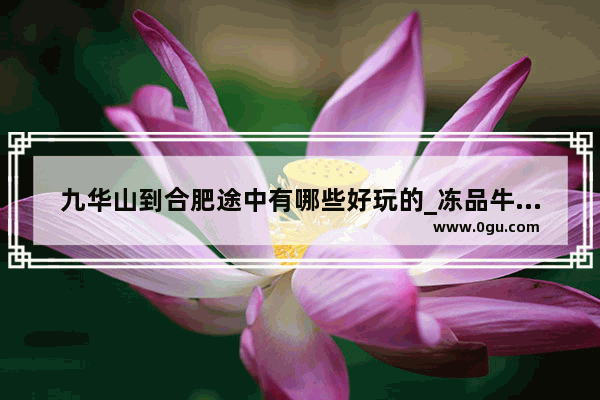 九华山到合肥途中有哪些好玩的_冻品牛肉批发的进货渠道