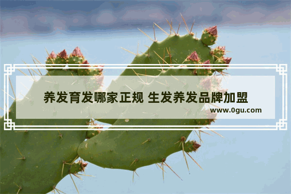 养发育发哪家正规 生发养发品牌加盟