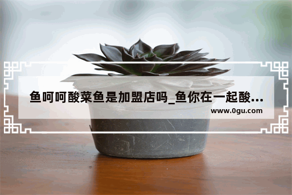 鱼呵呵酸菜鱼是加盟店吗_鱼你在一起酸菜鱼可以加盟吗