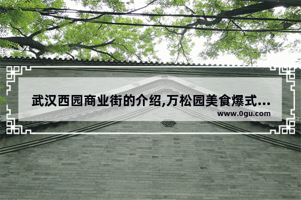 武汉西园商业街的介绍,万松园美食爆式小火锅加盟