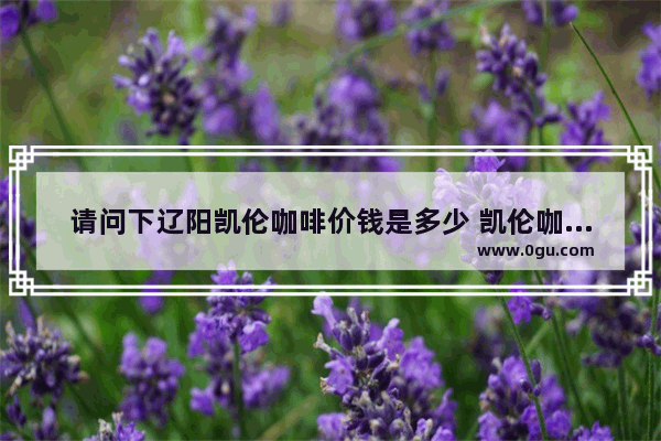 请问下辽阳凯伦咖啡价钱是多少 凯伦咖啡加盟