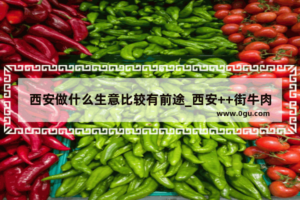 西安做什么生意比较有前途_西安++街牛肉面前十名