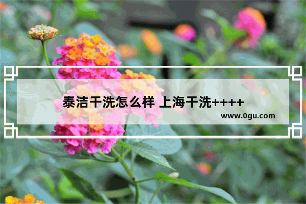 泰洁干洗怎么样 上海干洗++++