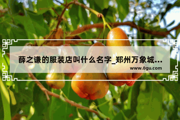 薛之谦的服装店叫什么名字_郑州万象城有哪些好玩好吃的