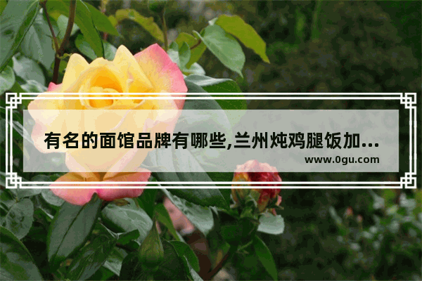 有名的面馆品牌有哪些,兰州炖鸡腿饭加盟店排行榜