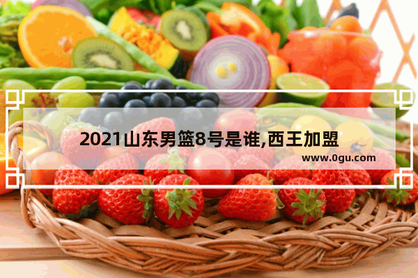2021山东男篮8号是谁,西王加盟