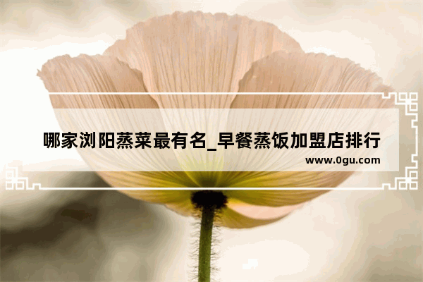 哪家浏阳蒸菜最有名_早餐蒸饭加盟店排行