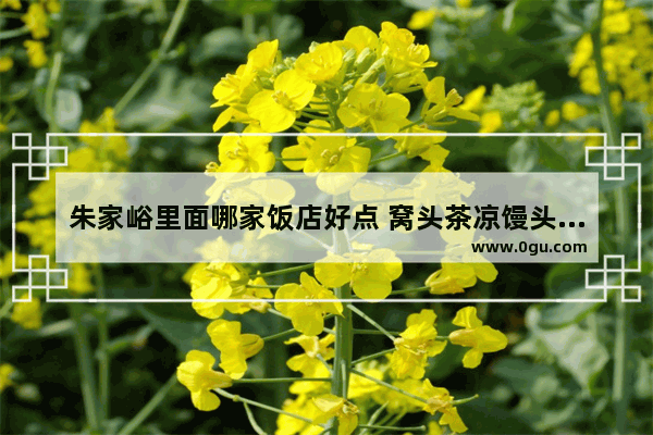 朱家峪里面哪家饭店好点 窝头茶凉馒头加盟店推荐