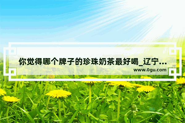 你觉得哪个牌子的珍珠奶茶最好喝_辽宁澜记奶茶加盟店