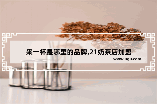 来一杯是哪里的品牌,21奶茶店加盟