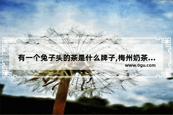 有一个兔子头的茶是什么牌子,梅州奶茶店加盟哪个品牌好