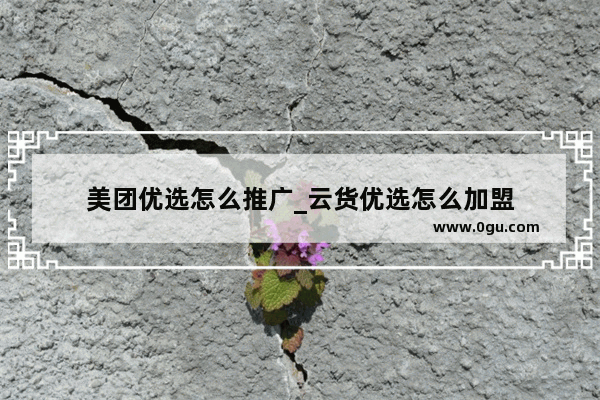 美团优选怎么推广_云货优选怎么加盟