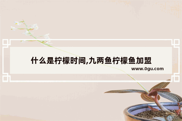 什么是柠檬时间,九两鱼柠檬鱼加盟
