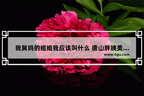 我舅妈的姐姐我应该叫什么 唐山胖姨美食推荐加盟店