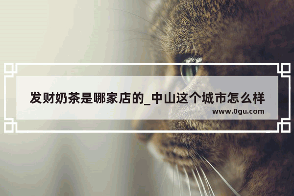 发财奶茶是哪家店的_中山这个城市怎么样