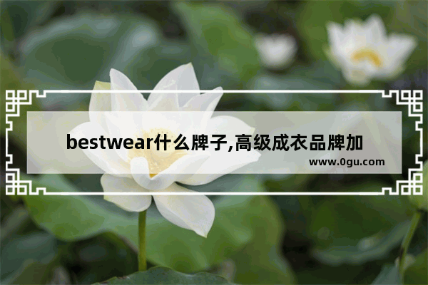 bestwear什么牌子,高级成衣品牌加盟店排行榜