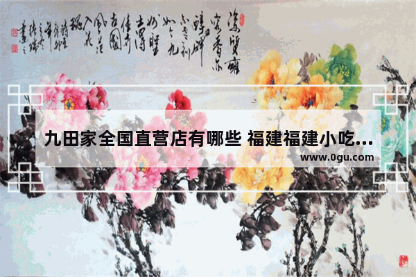 九田家全国直营店有哪些 福建福建小吃加盟的地方