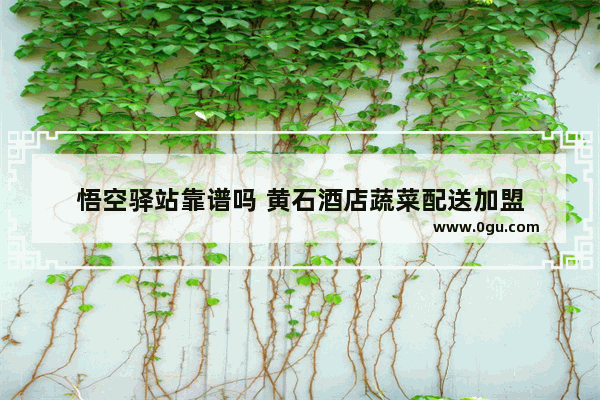 悟空驿站靠谱吗 黄石酒店蔬菜配送加盟