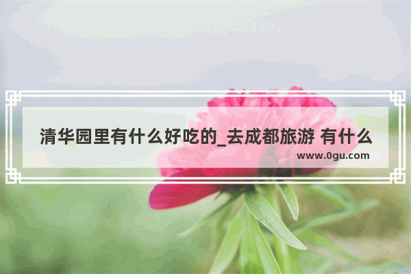 清华园里有什么好吃的_去成都旅游 有什么美食旅游攻略吗