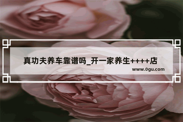 真功夫养车靠谱吗_开一家养生++++店 功夫磨坊的项目好不好