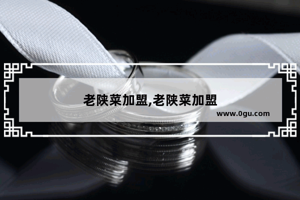 老陕菜加盟,老陕菜加盟