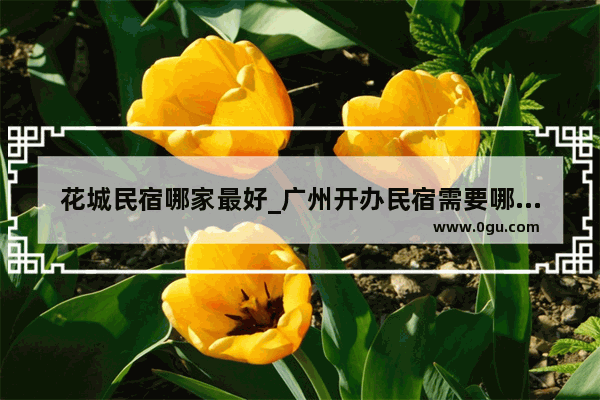 花城民宿哪家最好_广州开办民宿需要哪些手续
