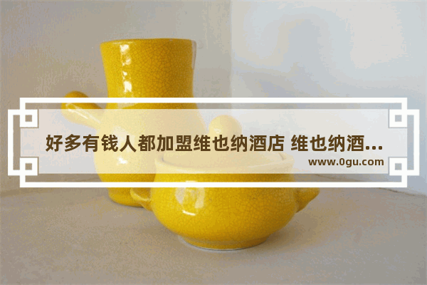 好多有钱人都加盟维也纳酒店 维也纳酒店真的投资回报率那么高吗,最值得加盟的连锁酒店