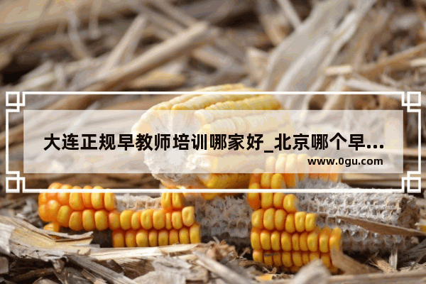 大连正规早教师培训哪家好_北京哪个早教机构比较好